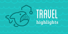 Travel Highlights