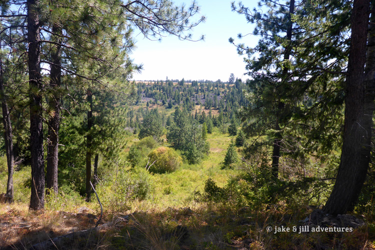 Oregon's Hidden Gem: Mayer State Park - Where Adventure Awaits!